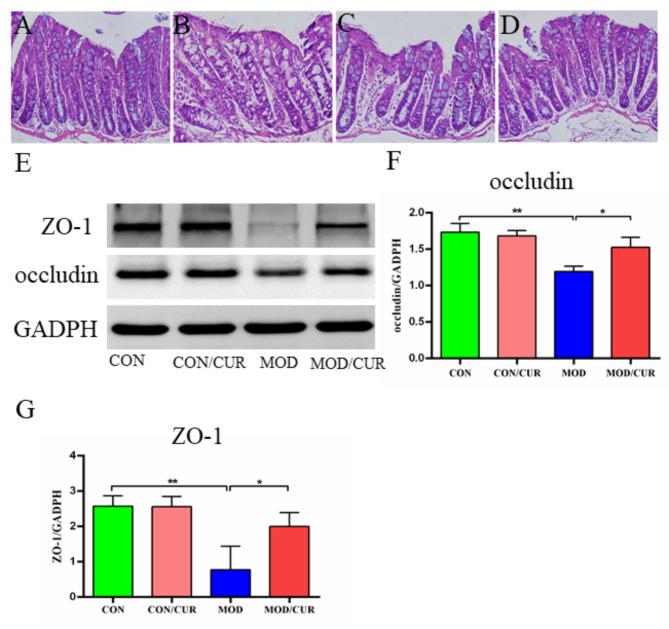https://cdn.ncbi.nlm.nih.gov/pmc/blobs/dfe1/11609283/c4673f5c3c0e/41598_2024_81034_Fig4_HTML.jpg
