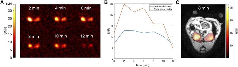 https://cdn.ncbi.nlm.nih.gov/pmc/blobs/dfe1/12219476/afaafe053503/sciadv.adx8417-f4.jpg