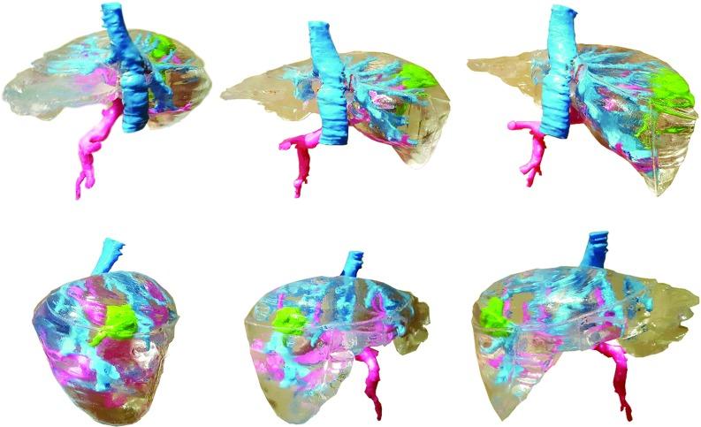 https://cdn.ncbi.nlm.nih.gov/pmc/blobs/dfe1/5702382/15ee2ebb693c/11548_2017_1527_Fig5_HTML.jpg