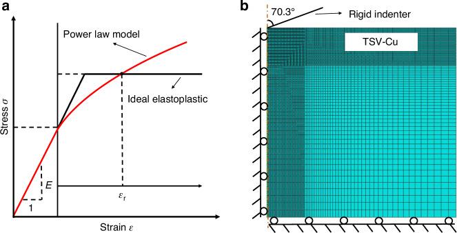 https://cdn.ncbi.nlm.nih.gov/pmc/blobs/dfe4/11649699/edc2701fea48/41378_2024_830_Fig1_HTML.jpg