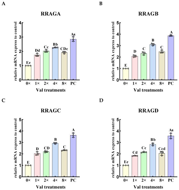 https://cdn.ncbi.nlm.nih.gov/pmc/blobs/dfe4/11989714/2b61acd6e1dd/ijms-26-03179-g003.jpg