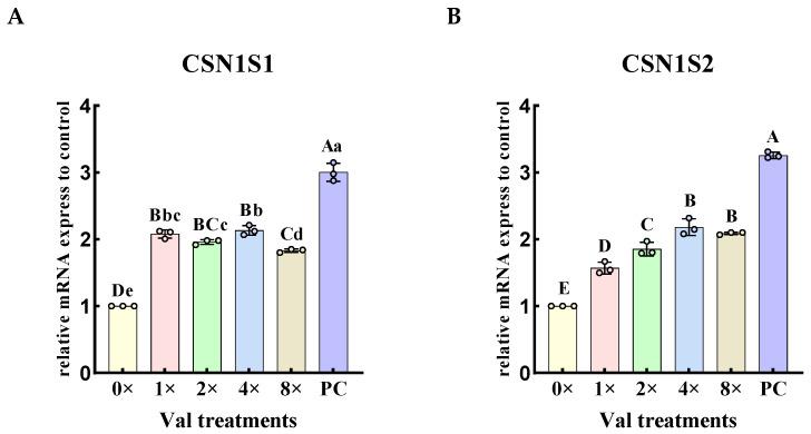 https://cdn.ncbi.nlm.nih.gov/pmc/blobs/dfe4/11989714/d20d8072206a/ijms-26-03179-g002.jpg