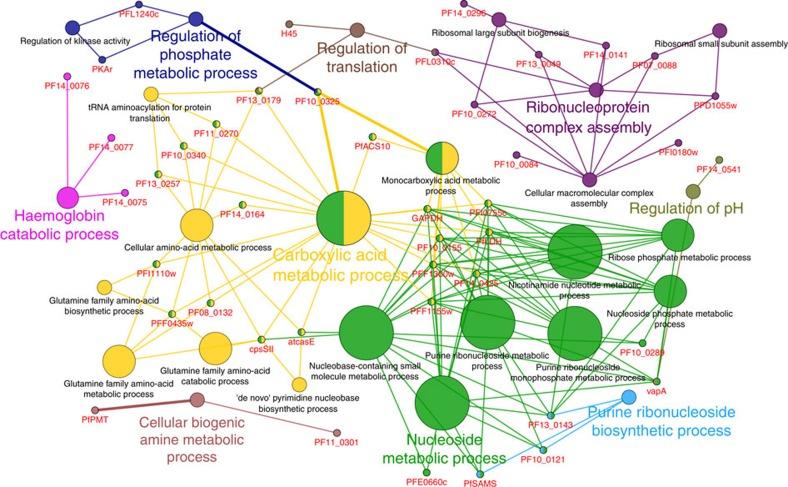 https://cdn.ncbi.nlm.nih.gov/pmc/blobs/dfe4/4703832/37cd24c3fea3/ncomms10111-f2.jpg