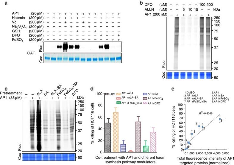 https://cdn.ncbi.nlm.nih.gov/pmc/blobs/dfe4/4703832/3b7460ec8b21/ncomms10111-f4.jpg
