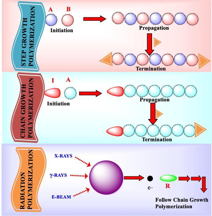 https://cdn.ncbi.nlm.nih.gov/pmc/blobs/dfe5/8464009/99726c787429/gr3.jpg