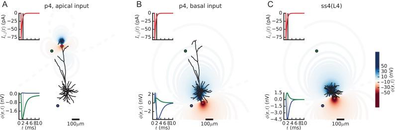 https://cdn.ncbi.nlm.nih.gov/pmc/blobs/dfe6/6193674/1019344eaee8/bhw237f03.jpg