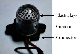 https://cdn.ncbi.nlm.nih.gov/pmc/blobs/dfe6/9494691/842549e8e660/CBSYSTEMS2022-9797562.007.jpg