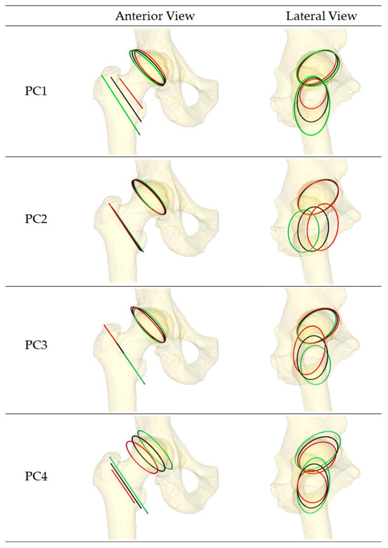 https://cdn.ncbi.nlm.nih.gov/pmc/blobs/dfea/10813259/fc7c8f8d3495/bioengineering-11-00037-g005.jpg