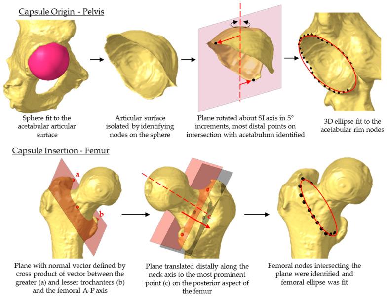 https://cdn.ncbi.nlm.nih.gov/pmc/blobs/dfea/10813259/fc9fec2a3aa9/bioengineering-11-00037-g003.jpg