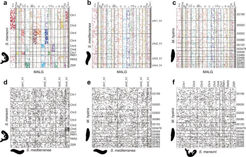 https://cdn.ncbi.nlm.nih.gov/pmc/blobs/dfeb/11410931/63bd5b3b01b4/41467_2024_52380_Fig5_HTML.jpg