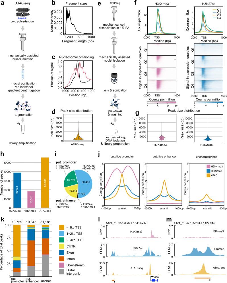 https://cdn.ncbi.nlm.nih.gov/pmc/blobs/dfeb/11410931/d658bd7fabd1/41467_2024_52380_Fig2_HTML.jpg