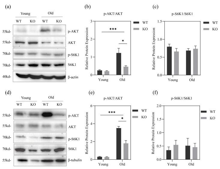 https://cdn.ncbi.nlm.nih.gov/pmc/blobs/dfeb/9415337/23bf9f7f02f9/metabolites-12-00740-g004.jpg