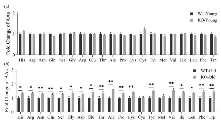 https://cdn.ncbi.nlm.nih.gov/pmc/blobs/dfeb/9415337/6c41b95fdb19/metabolites-12-00740-g003.jpg