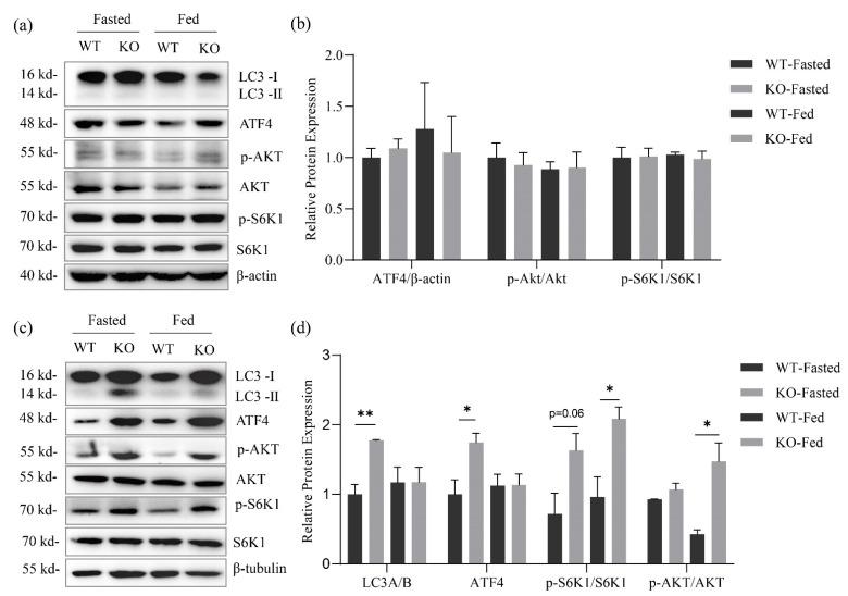 https://cdn.ncbi.nlm.nih.gov/pmc/blobs/dfeb/9415337/ca191a377209/metabolites-12-00740-g005.jpg