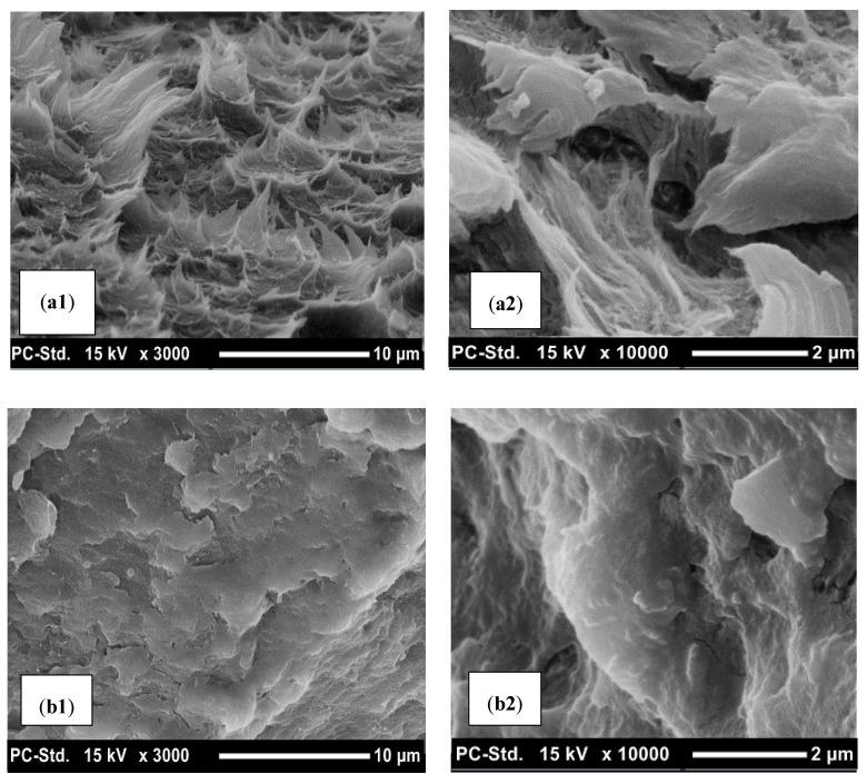 https://cdn.ncbi.nlm.nih.gov/pmc/blobs/dfed/7570036/6a0adb8b473a/polymers-12-02091-g012.jpg