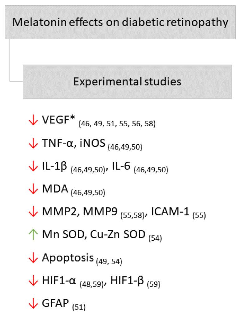 https://cdn.ncbi.nlm.nih.gov/pmc/blobs/dfed/8744787/8940a9acbd2d/ijms-23-00100-g003.jpg