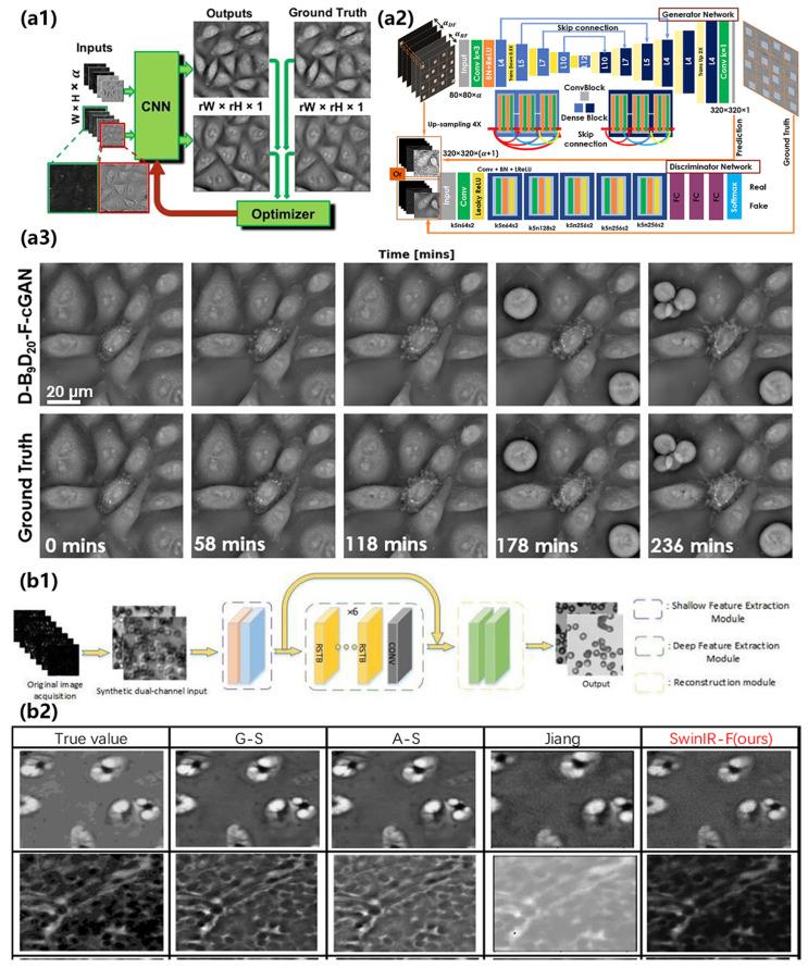 https://cdn.ncbi.nlm.nih.gov/pmc/blobs/dfee/10887115/20398deed987/cells-13-00324-g009.jpg