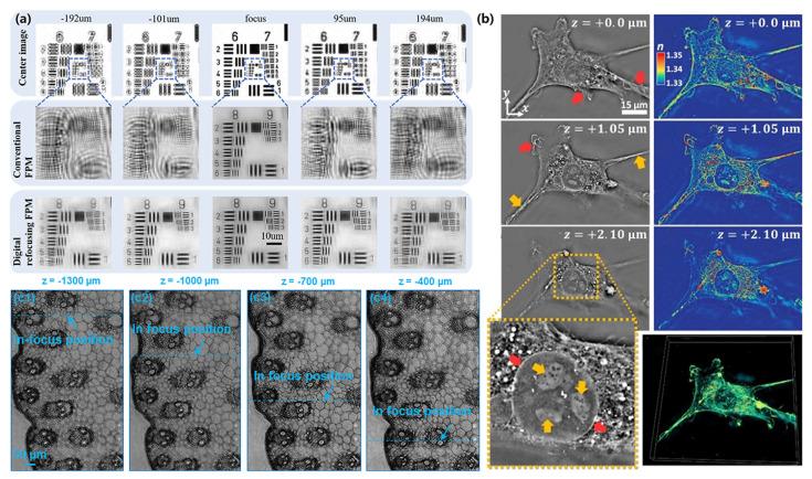 https://cdn.ncbi.nlm.nih.gov/pmc/blobs/dfee/10887115/e48964a70900/cells-13-00324-g007.jpg