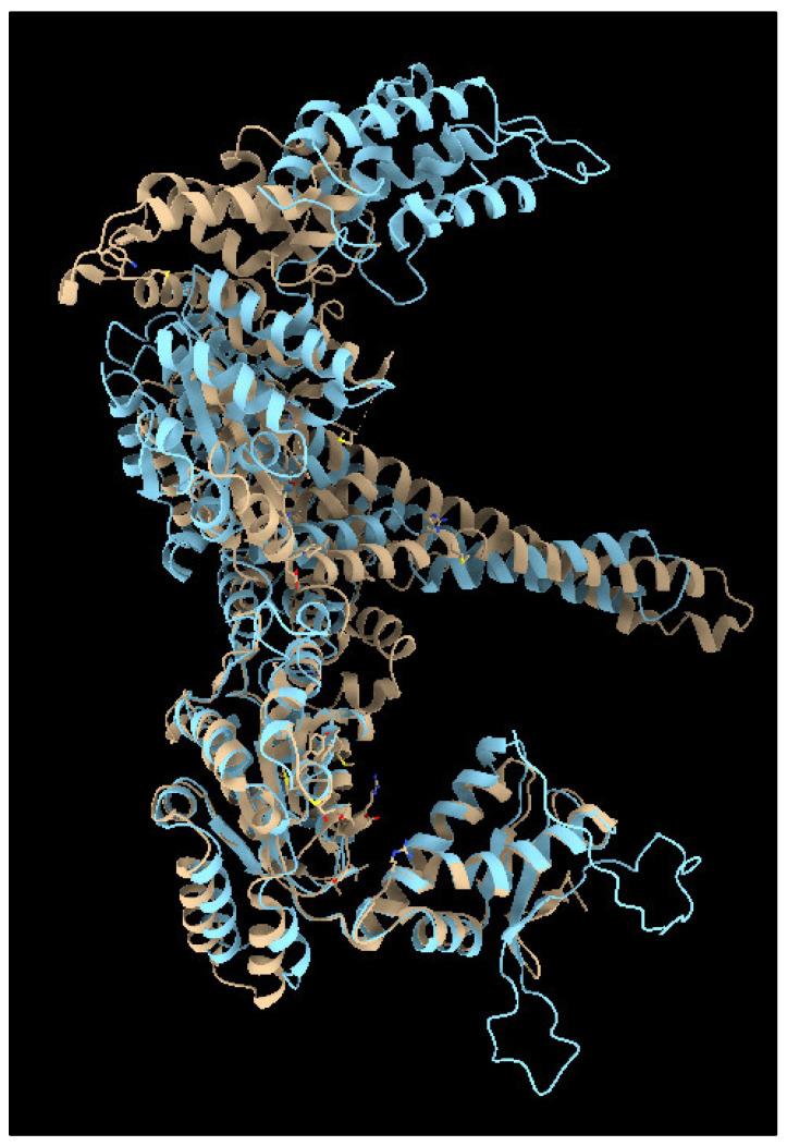 https://cdn.ncbi.nlm.nih.gov/pmc/blobs/dfef/10302638/010ea232f654/jof-09-00688-g003.jpg