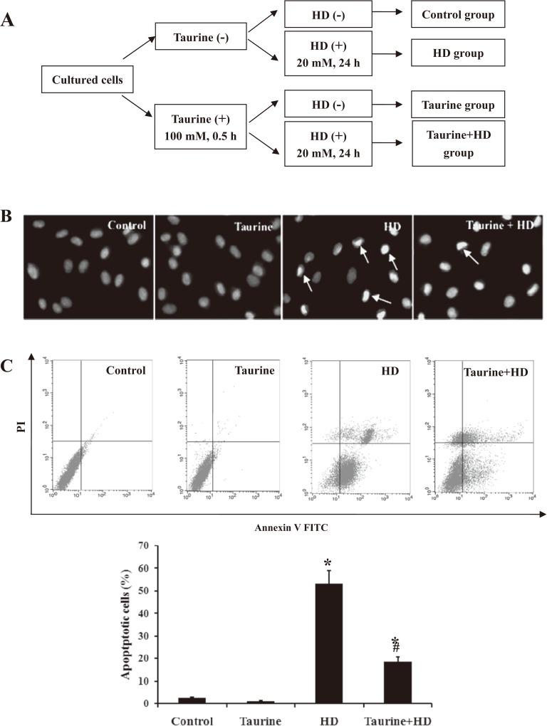 https://cdn.ncbi.nlm.nih.gov/pmc/blobs/dfef/5383408/518602d4db7d/indhealth-55-108-g002.jpg