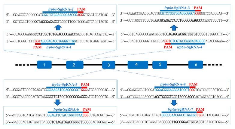 https://cdn.ncbi.nlm.nih.gov/pmc/blobs/dff0/12345836/23b6813e1e2f/ijms-26-07067-g005.jpg