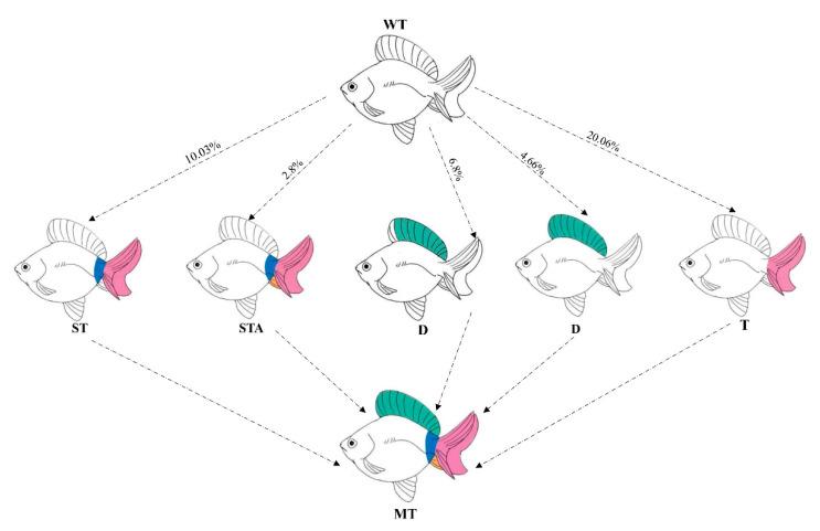 https://cdn.ncbi.nlm.nih.gov/pmc/blobs/dff0/12345836/7bc12c547fd5/ijms-26-07067-g011.jpg