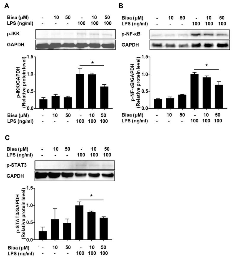 https://cdn.ncbi.nlm.nih.gov/pmc/blobs/dff3/10253162/238d5b6eba89/ijms-24-09366-g008.jpg
