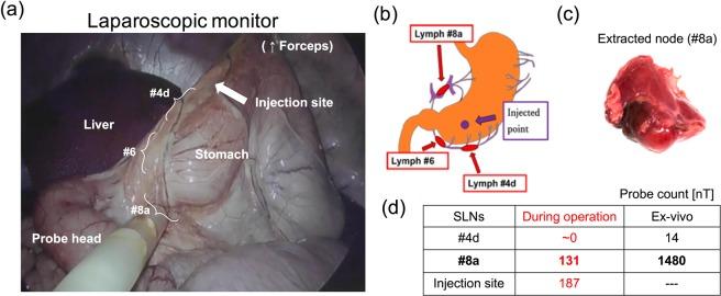 https://cdn.ncbi.nlm.nih.gov/pmc/blobs/dff3/7000689/dcc5966acf01/41598_2020_58530_Fig12_HTML.jpg