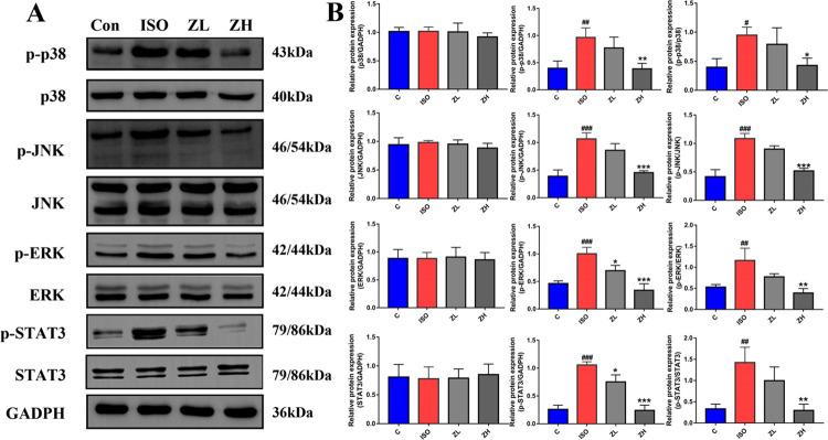 https://cdn.ncbi.nlm.nih.gov/pmc/blobs/dff4/10568591/04770fe348ea/ao3c05055_0009.jpg