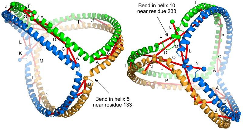https://cdn.ncbi.nlm.nih.gov/pmc/blobs/dff5/3079355/31247ef40a83/nihms258814f4.jpg
