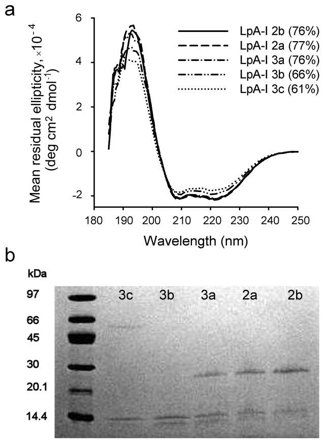 https://cdn.ncbi.nlm.nih.gov/pmc/blobs/dff5/3079355/4649eb36ffc0/nihms258814f3.jpg