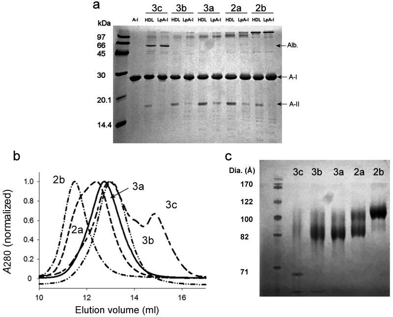 https://cdn.ncbi.nlm.nih.gov/pmc/blobs/dff5/3079355/50c8b044ce1c/nihms258814f1.jpg
