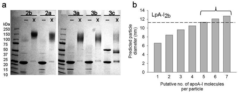https://cdn.ncbi.nlm.nih.gov/pmc/blobs/dff5/3079355/a987440ccd6d/nihms258814f2.jpg