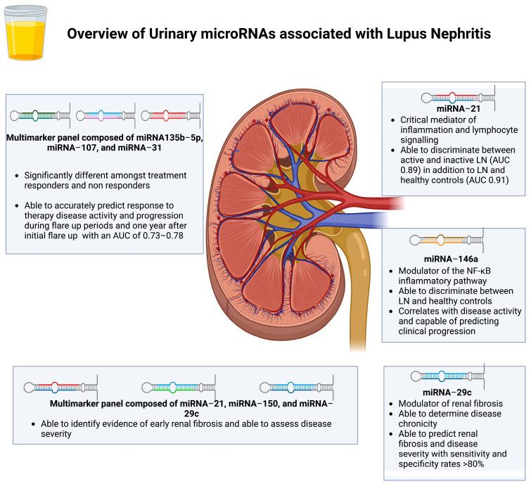 https://cdn.ncbi.nlm.nih.gov/pmc/blobs/dff6/11051403/87325155b803/jcm-13-02339-g001.jpg