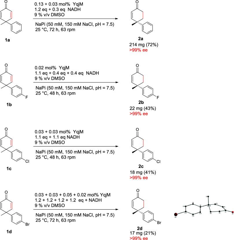 https://cdn.ncbi.nlm.nih.gov/pmc/blobs/dff6/11075021/1a4c55d09489/cs4c00276_0006.jpg