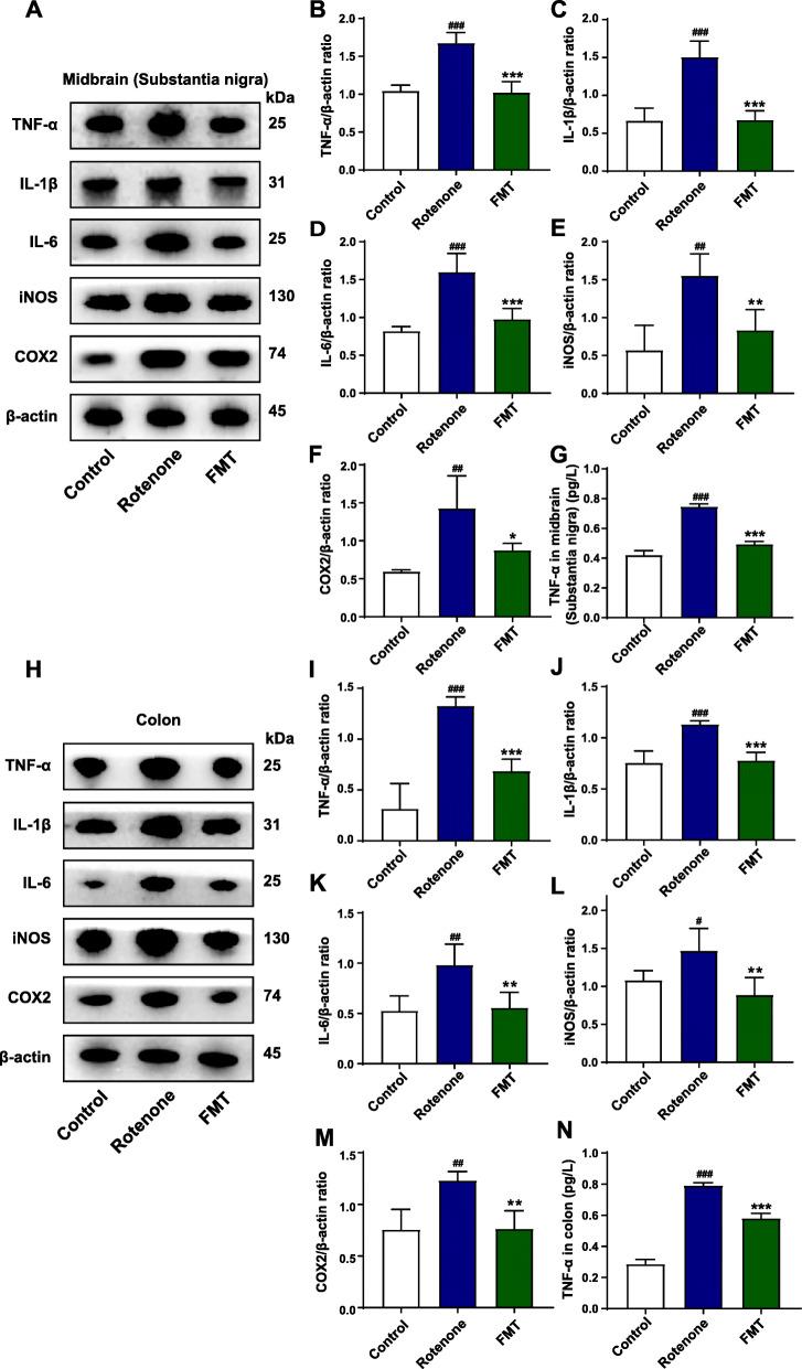 https://cdn.ncbi.nlm.nih.gov/pmc/blobs/dff6/8597301/0c5a84d73e3e/40168_2021_1107_Fig5_HTML.jpg