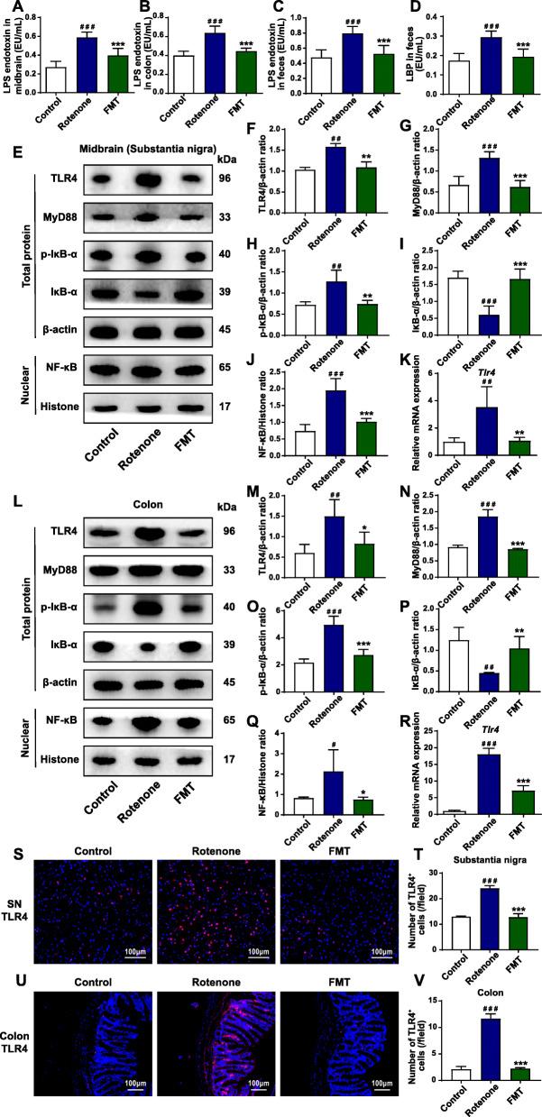 https://cdn.ncbi.nlm.nih.gov/pmc/blobs/dff6/8597301/768f61d4c513/40168_2021_1107_Fig4_HTML.jpg