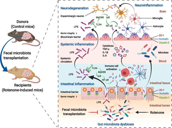 https://cdn.ncbi.nlm.nih.gov/pmc/blobs/dff6/8597301/bfe60bf9dff2/40168_2021_1107_Fig8_HTML.jpg