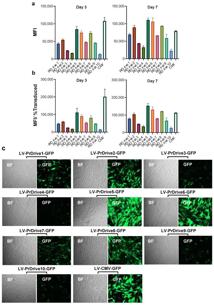 https://cdn.ncbi.nlm.nih.gov/pmc/blobs/dff7/10674321/3a7c5230bb7b/viruses-15-02255-g005.jpg
