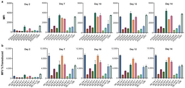 https://cdn.ncbi.nlm.nih.gov/pmc/blobs/dff7/10674321/8aaf5484f73d/viruses-15-02255-g001.jpg