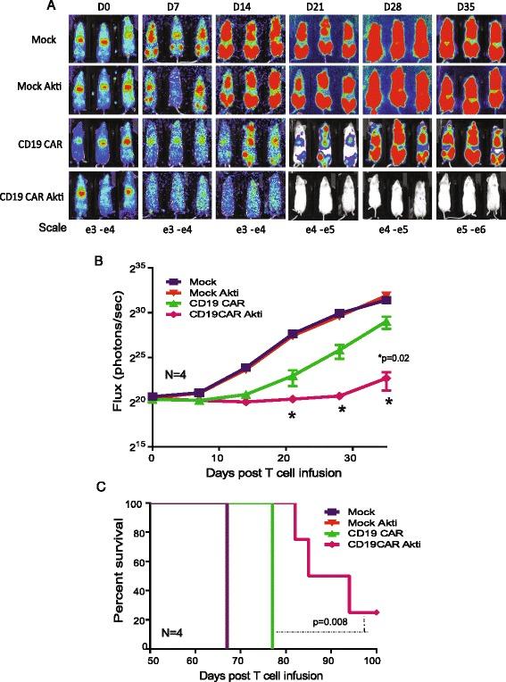 https://cdn.ncbi.nlm.nih.gov/pmc/blobs/dffa/5359873/0fe7ec6bfaa9/40425_2017_227_Fig5_HTML.jpg