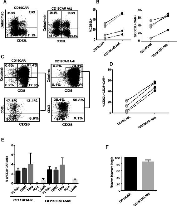 https://cdn.ncbi.nlm.nih.gov/pmc/blobs/dffa/5359873/8ba9aa192aa7/40425_2017_227_Fig2_HTML.jpg