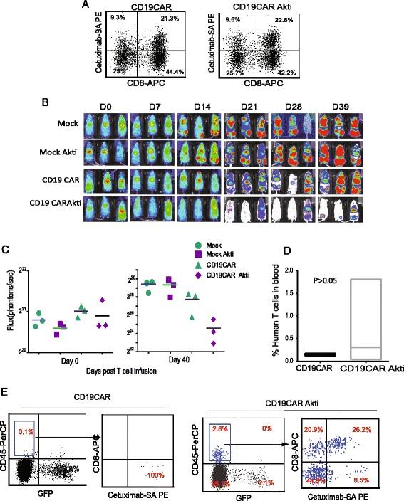 https://cdn.ncbi.nlm.nih.gov/pmc/blobs/dffa/5359873/e85deef68492/40425_2017_227_Fig6_HTML.jpg