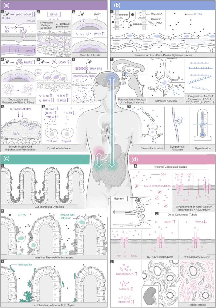 https://cdn.ncbi.nlm.nih.gov/pmc/blobs/dffc/11868716/05c2f2b25cc4/j_med-2025-1159-fig002.jpg
