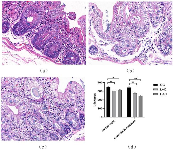 https://cdn.ncbi.nlm.nih.gov/pmc/blobs/dffc/8244895/9f6cb88b3740/pone.0252065.g002.jpg