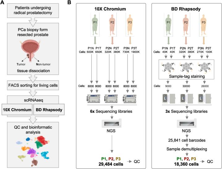 https://cdn.ncbi.nlm.nih.gov/pmc/blobs/dfff/11059509/86e3512a84ac/gr1.jpg
