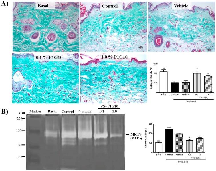 https://cdn.ncbi.nlm.nih.gov/pmc/blobs/e000/6770601/5c5556be9b3f/ijms-20-04373-g007.jpg