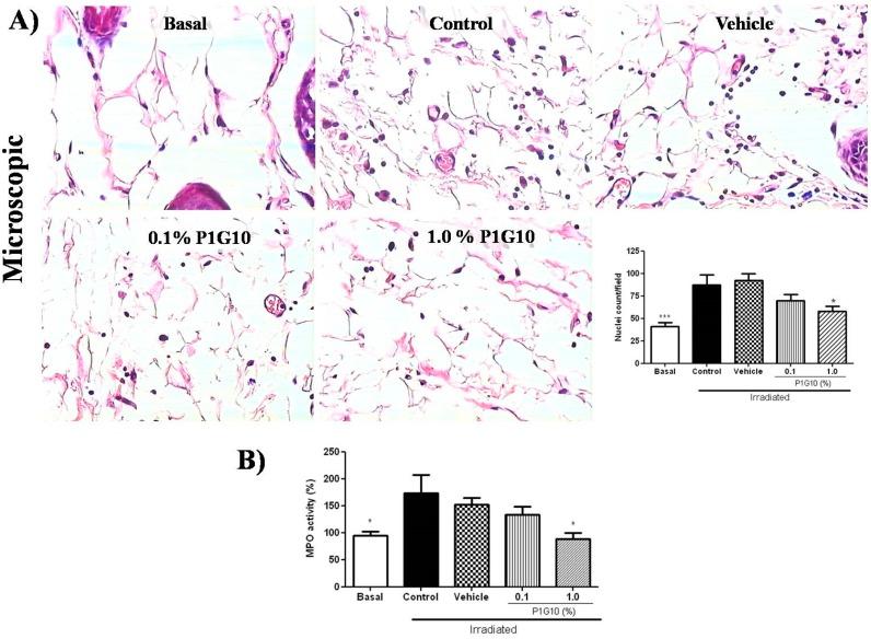 https://cdn.ncbi.nlm.nih.gov/pmc/blobs/e000/6770601/714d4be60775/ijms-20-04373-g005.jpg