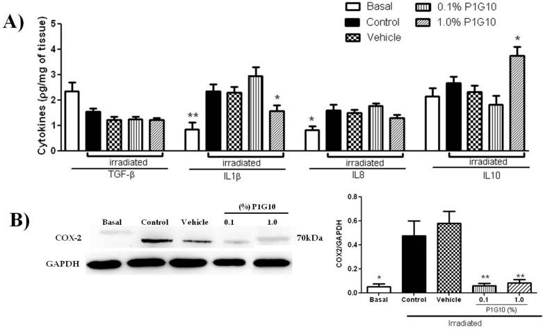 https://cdn.ncbi.nlm.nih.gov/pmc/blobs/e000/6770601/7f1191028ff2/ijms-20-04373-g006.jpg