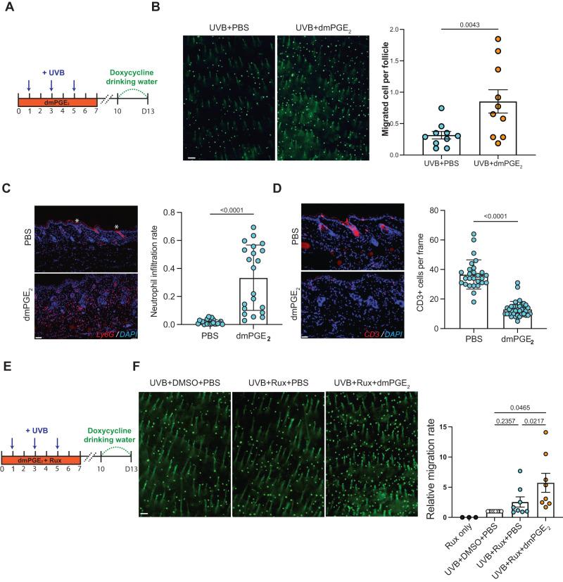 https://cdn.ncbi.nlm.nih.gov/pmc/blobs/e003/10821900/630bda2434fd/41467_2024_45034_Fig7_HTML.jpg